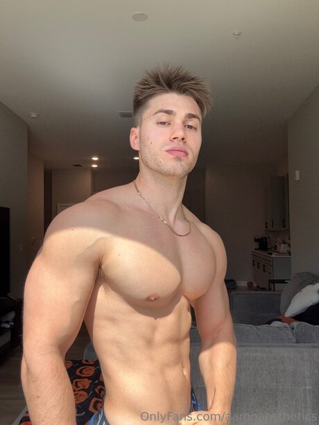 Aaronaesthetics perfekte pornostar galerie