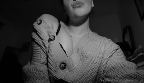 Itsdianabarros kunst beste galerie