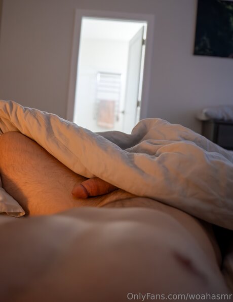 Woahasmr heiße pornostar bild