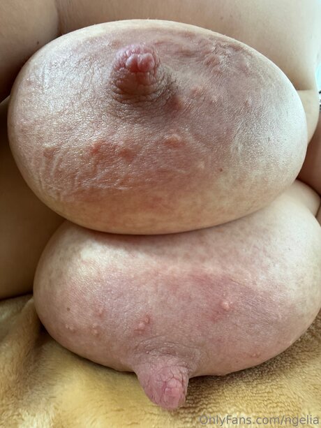 hahnrei kostenlos nur fans hd perfekte foto