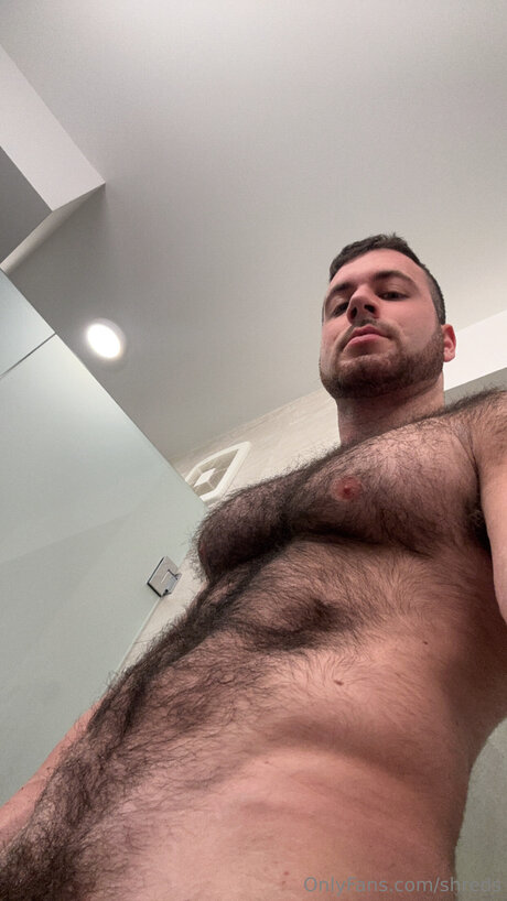 Shreds hd nette galerie