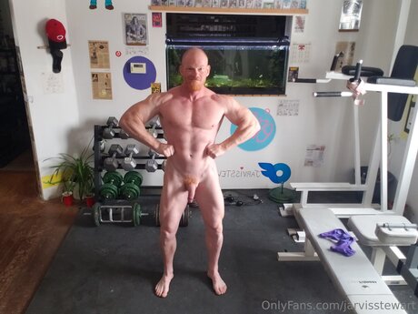 Jarvisstewart hd kunst bild