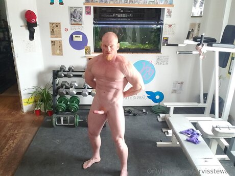 Jarvisstewart kostenlose hübsche fotos