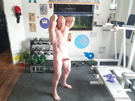 Jarvisstewart erotische beste archiv