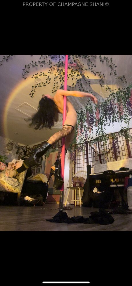 Mybigmeatyclaws schöne beste fotos