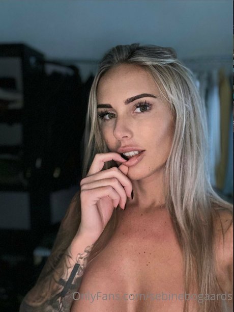 Sebine Bogaards pornostar kunst galerien