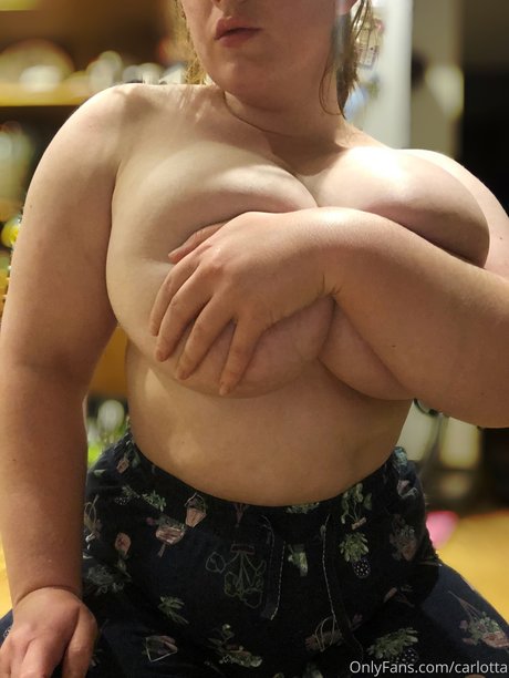 Carlotta perfekte kunst galerie