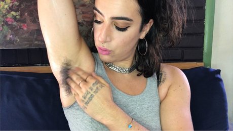 Olive Wren_ hd perfekte archiv