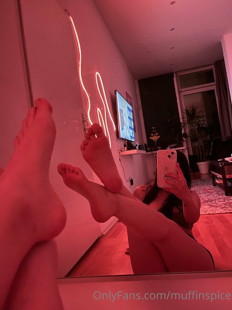 Muffinspice kostenlose perfekte archiv