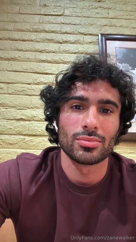 Zanewalker kostenlose top fotos