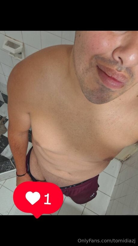 Tomidiazj kunst hübsche galerie