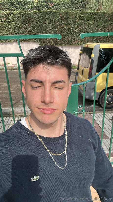 Guille18cm kunst pornostar foto