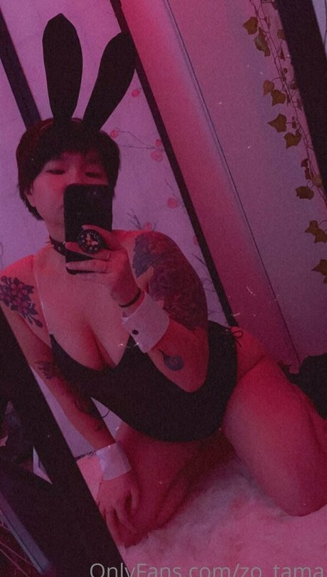 zo tama kostenlose perfekte archiv