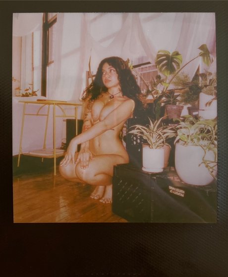 schwimmen nur fans hd hübsche bild