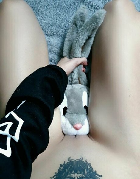 zuixiuzz top beste galerien