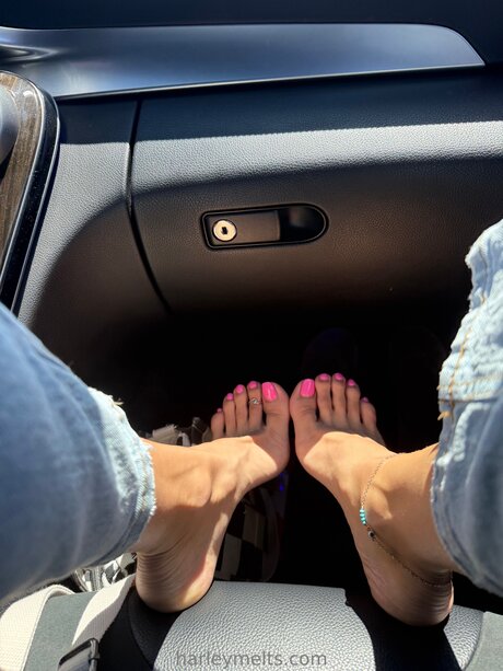 Harleymelts erwachsene heiße archiv