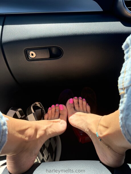 Harleymelts top pornographische bild