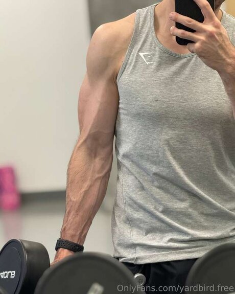 sexy frau nur fans kunst hd fotos