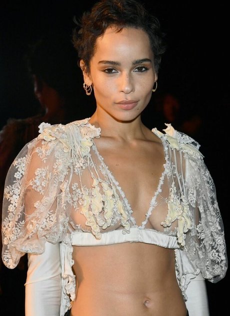 Zoe Kravitz erotische kunst fotos