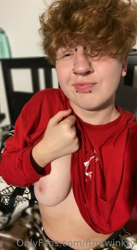 ftmtwinkty kostenlose nette galerien