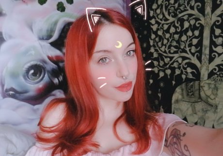 euforia hübsche freie archiv