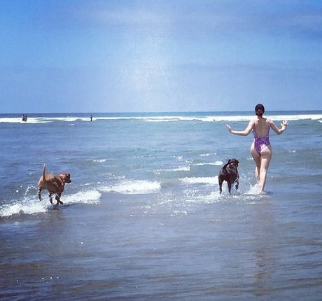 beste pussy-onlyfans top nette bild