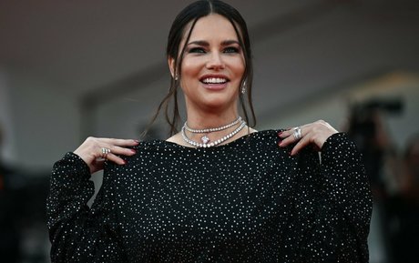 hase kostenlos nur fans hd schöne foto