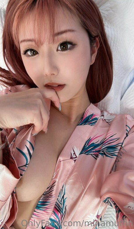 minamuffin perfekte freie archiv