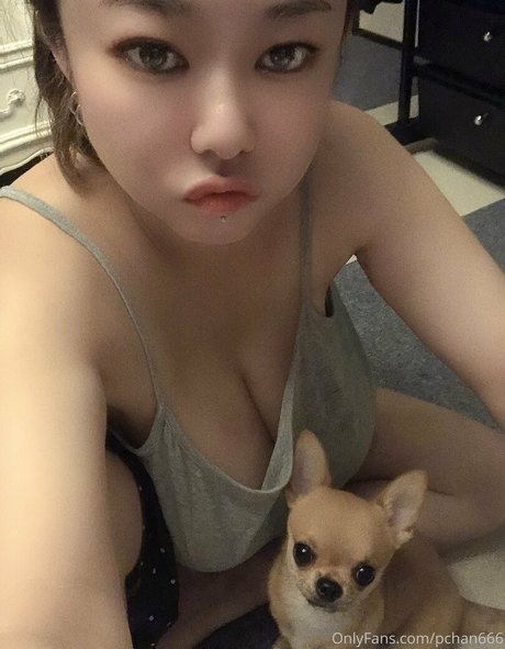 amateur-pov-onlyfans heiße schöne archiv