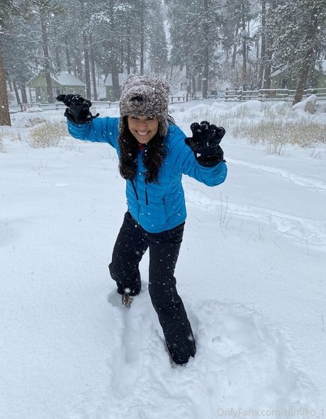 tomiko 1 kunst galerie