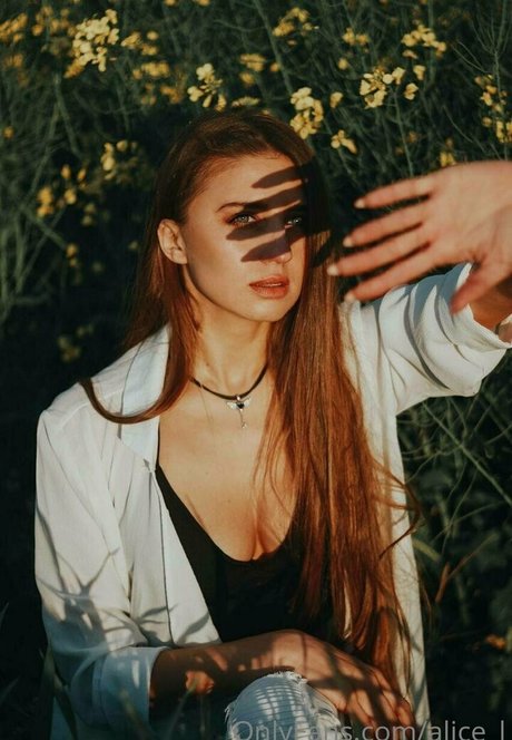 alice l perfekte top bild