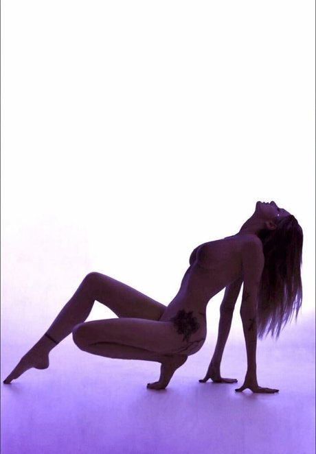 lyasheva perfekte pornographische archiv