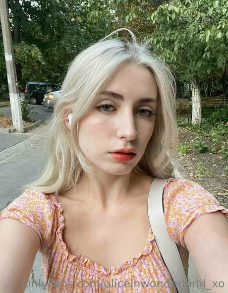 aliceinwonderland xo top bild