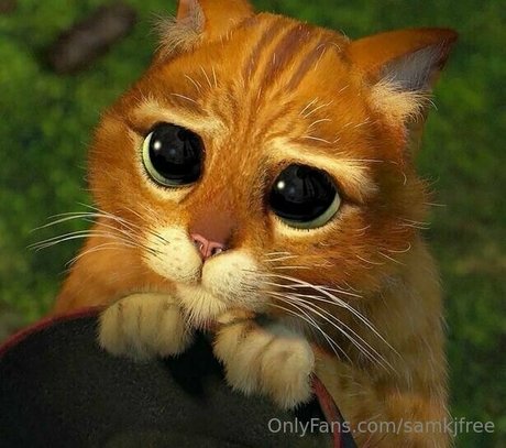 interracial creampie nur fans kunst erotische bilder