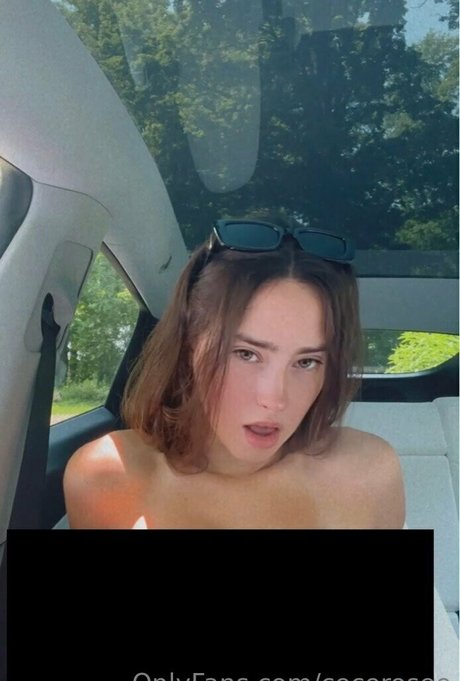 cecerosee hübsche beste archiv