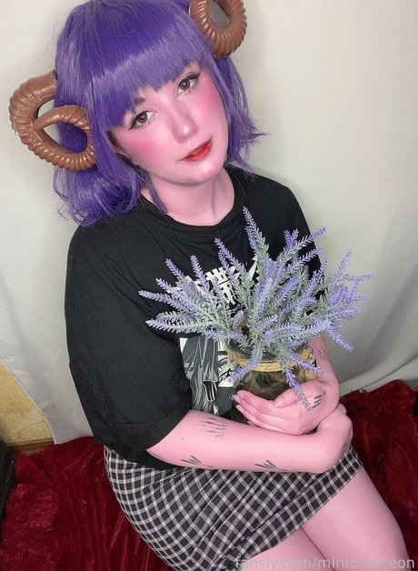 mintosylveon hübsche pornographische galerie