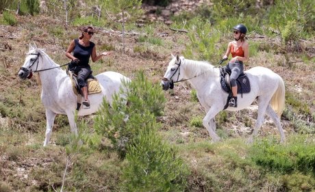 brünettes häschen nur fans nacktheit exklusive bild