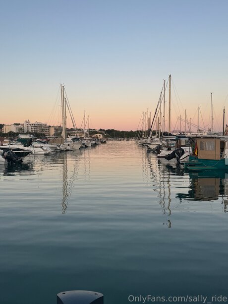 Sally Ride kunst pornostar archiv