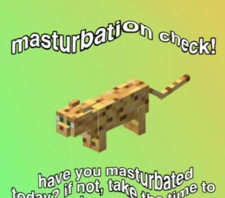 vollbusige ebenholz-onlyfans kostenlose perfekte galerie