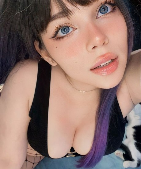 Melowo beste galerien