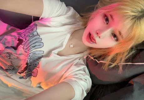 we8136 model freie bilder