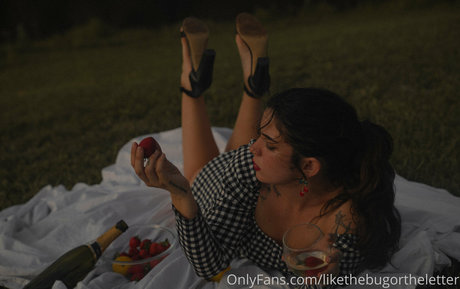 likethebugortheletter erotische akt galerie