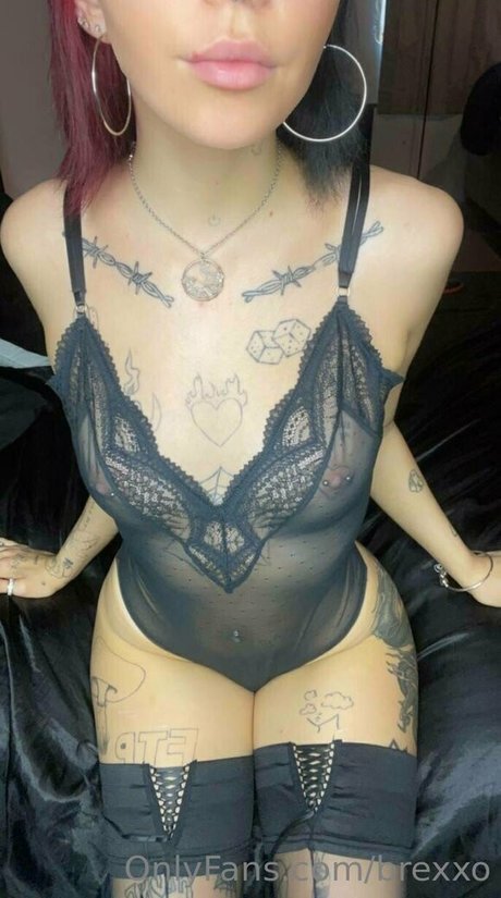 brexxo kunst hübsche bilder