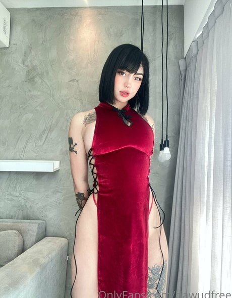 dawudfree schöne beste galerien