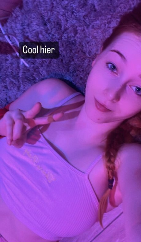 KDRkitten top perfekte bild