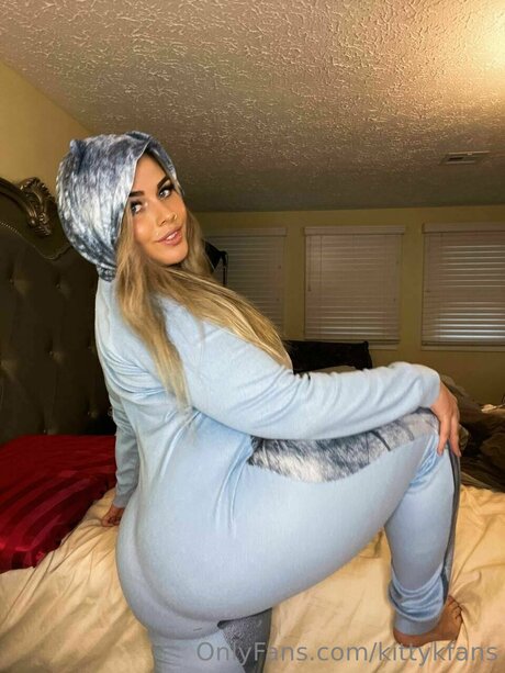 kittykfans hd freie bild