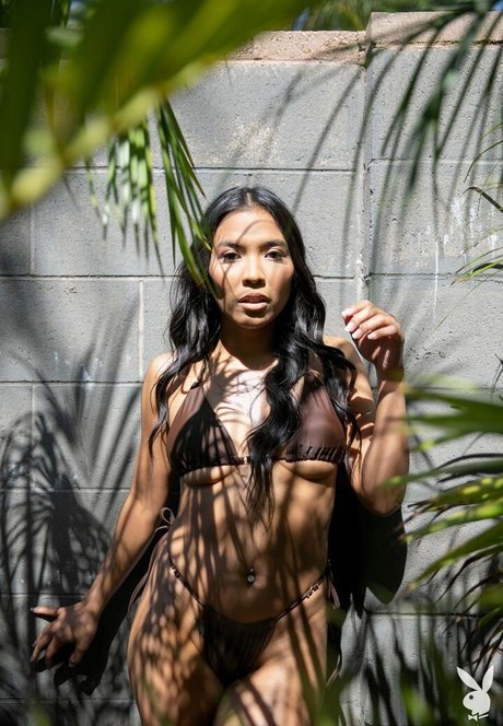 schwuler fick nur fans beste pornographische galerien