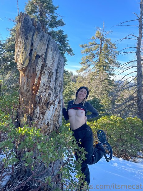 itsmecat heiße freie bilder