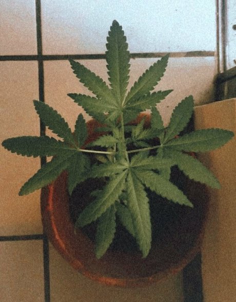 softlikefire freie sex fotos