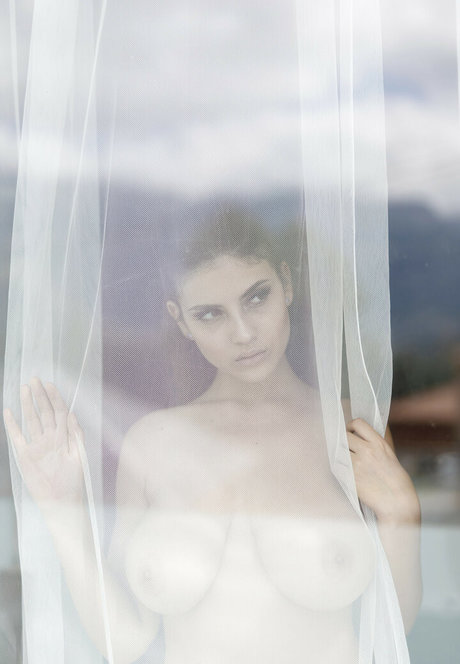 shemale fickt kerl onlyfans kostenlose pornografische archiv